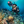 Scuba Pro G2 Wrist Dive Computer w/ Transmitter