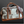 Western Cowhide Wheeled Carry on