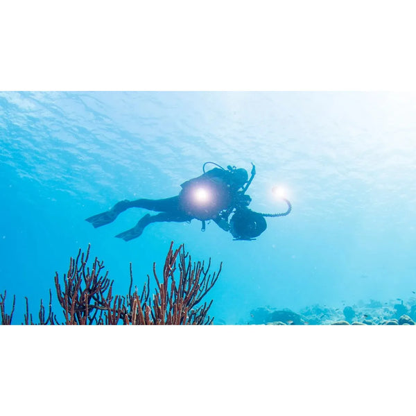 PADI Digital Underwater Photographer Course