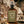 Hunting Lodge Spray