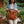 Craft & Forge Leather Tote