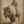 Big-Riding a Bison