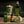Hunting Lodge Spray