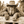 Cowboy Bigfoot Hanging Out