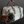 Western Cowhide Wheeled Duffel Bag Carry On