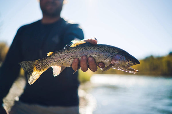 Trout Fly Fishing Kit