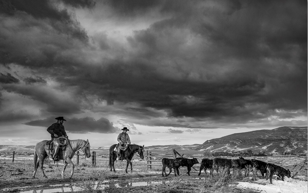 Ranchland: Wagonhound by Anouk Masson Krantz