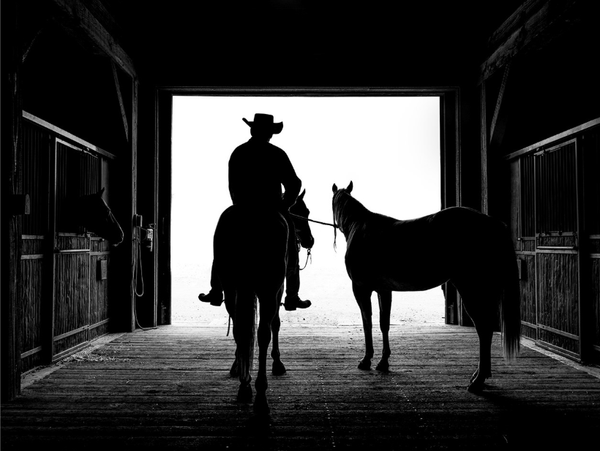 Ranchland: Wagonhound by Anouk Masson Krantz