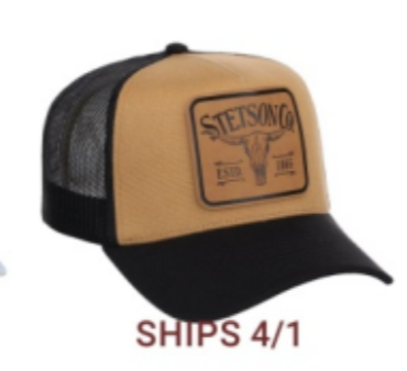 Stetson Leather Patch