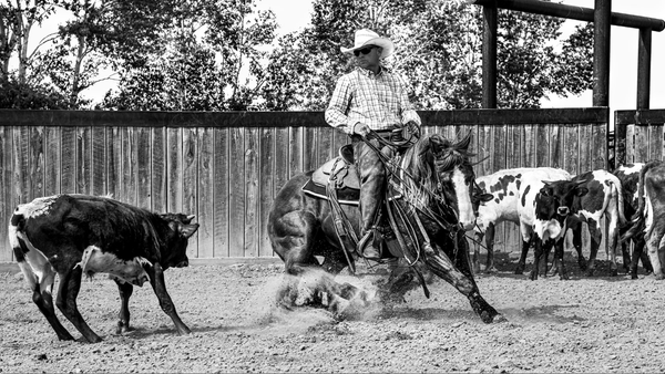 Ranchland: Wagonhound by Anouk Masson Krantz
